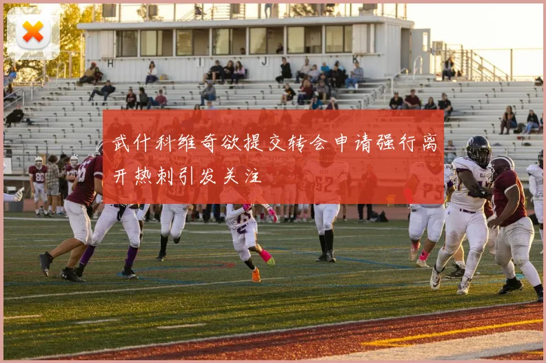 武什科维奇欲提交转会申请强行离开热刺引发关注